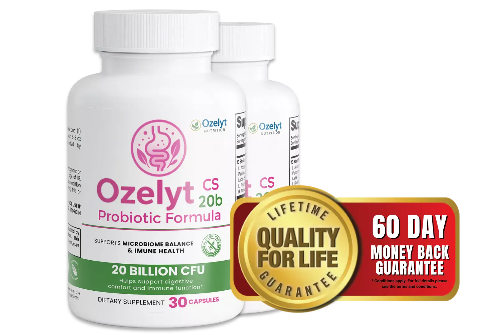 ozelyt-cs-20b reviews